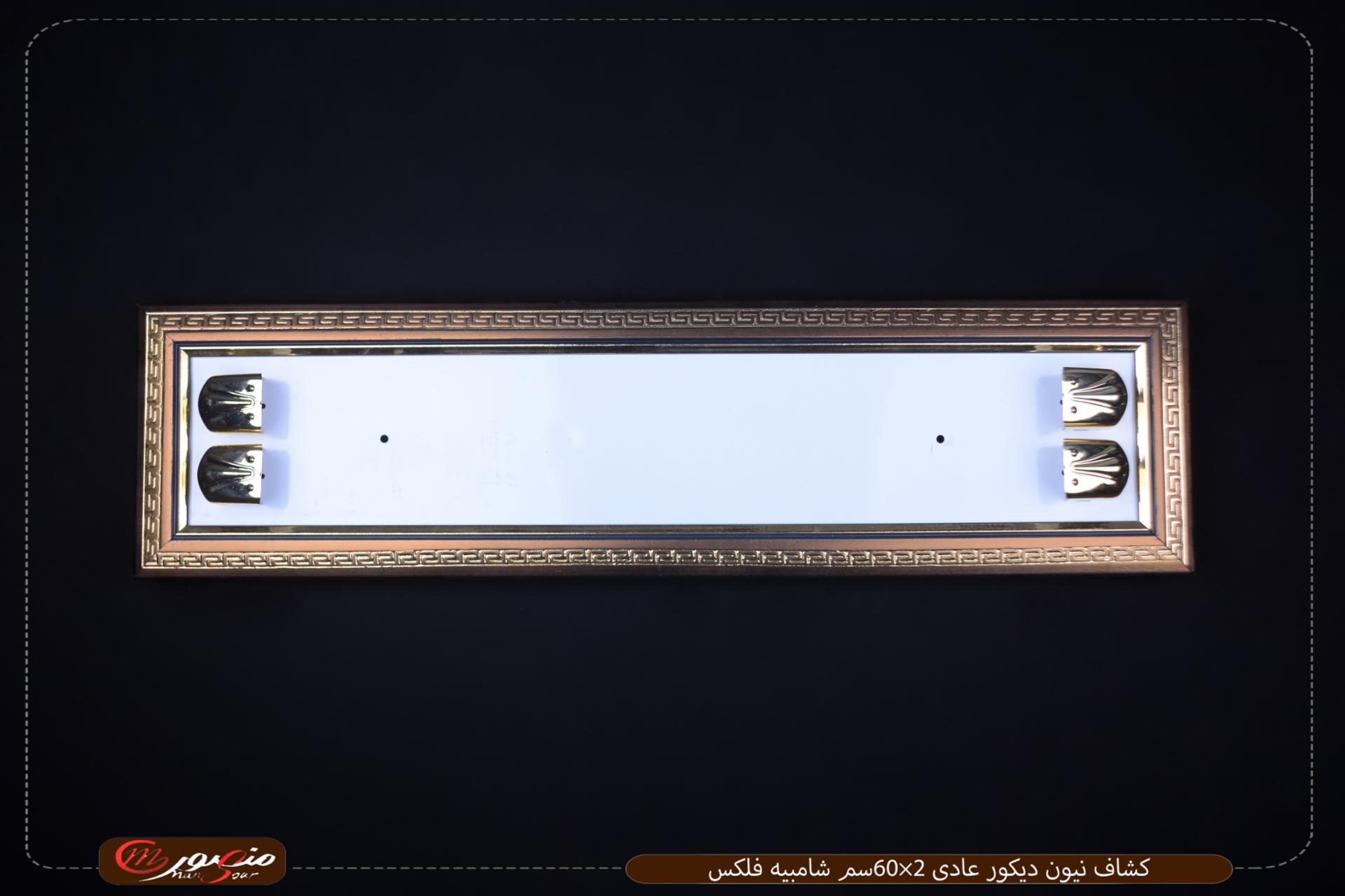 كشاف نيون ديكور عادى 2×60سم شامبيه فلكس 
